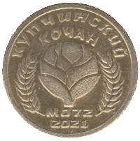 монета Купчинский кочан