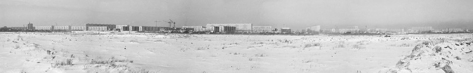 Купчино 1967 год панорама