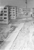 Купчино строительство 1966 год
