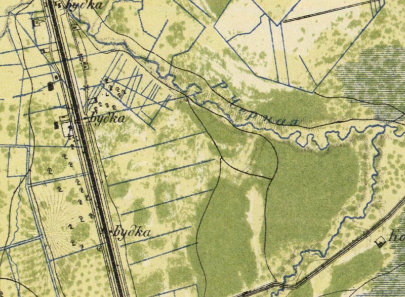 Купчино 1868 год