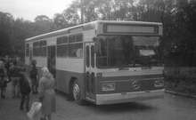 Mercedes-Benz O302T