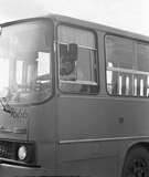  280 7666