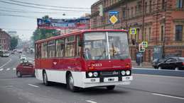  255