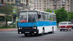  256
