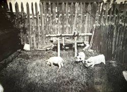 � ���� 30 ������������ ����