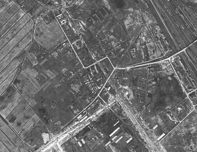   1966 