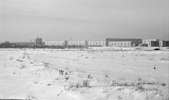  1967 