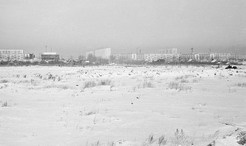  1967 