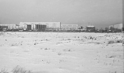  1967 