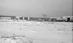  1967 