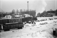  1981 